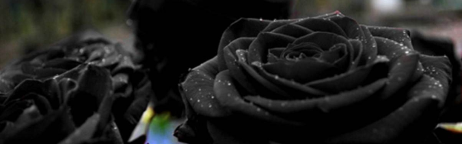 Carousel Bootstrap First